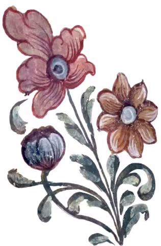 Două flori mari pictate — o anemonă roz și o floare ocru — cu un boboc și frunze verzi.